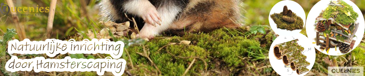 Natuurlijke inrichting voor Knaagdieren terrarium - Hamsterscaping